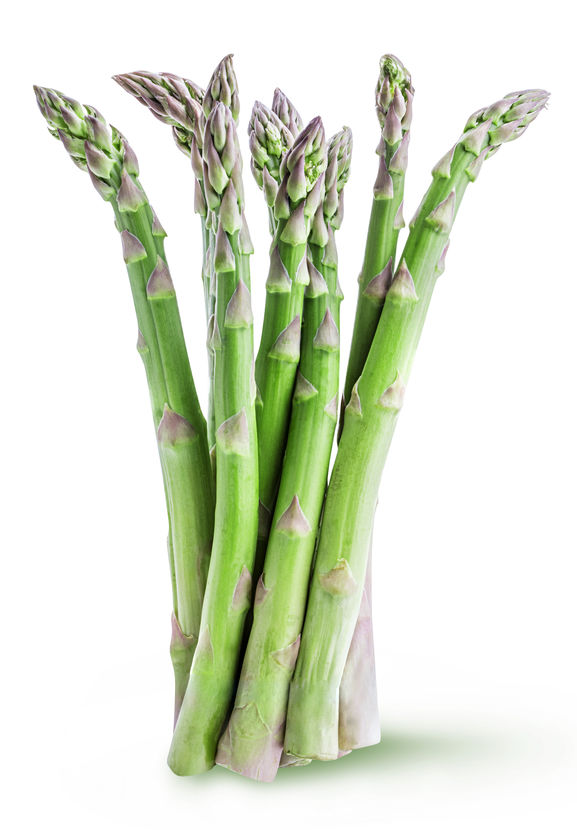 Fresh asparagus isolated on white background with clipping path